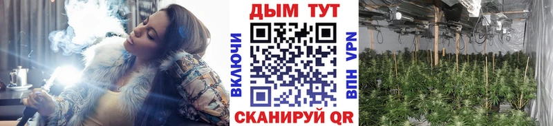 Марихуана THC 21%  Заозёрный 